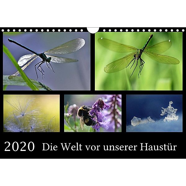 Die Welt vor unserer Haustür (Wandkalender 2020 DIN A4 quer), Almut Eberhardt