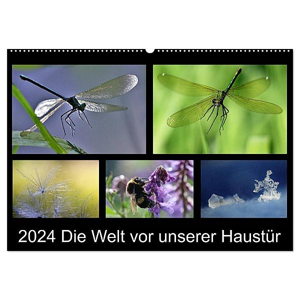 Die Welt vor unserer Haustür (Wandkalender 2024 DIN A2 quer), CALVENDO Monatskalender, Almut Eberhardt