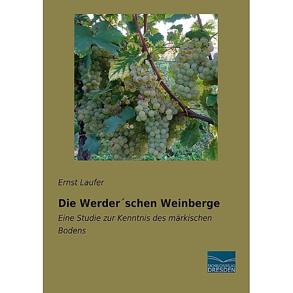 Die Werder´schen Weinberge, Ernst Laufer