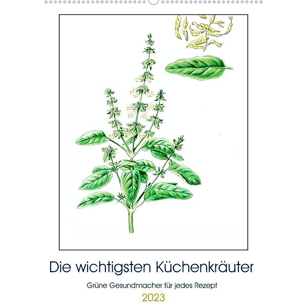 Die wichtigsten Küchenkräuter (Wandkalender 2023 DIN A2 hoch), dieKleinert.de