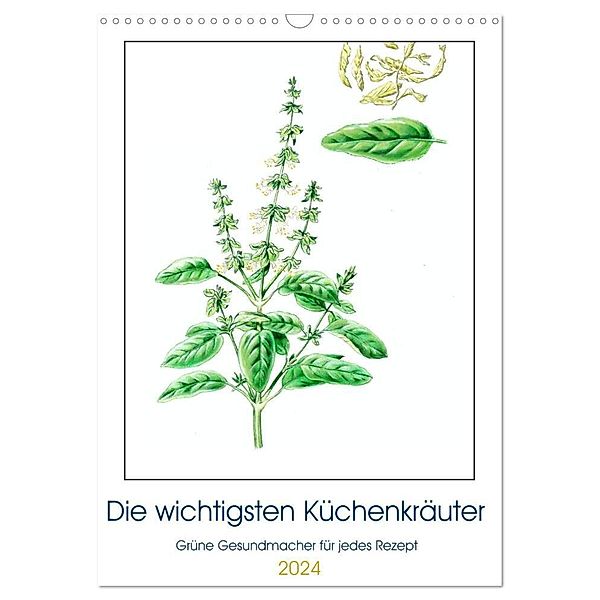 Die wichtigsten Küchenkräuter (Wandkalender 2024 DIN A3 hoch), CALVENDO Monatskalender, dieKleinert.de