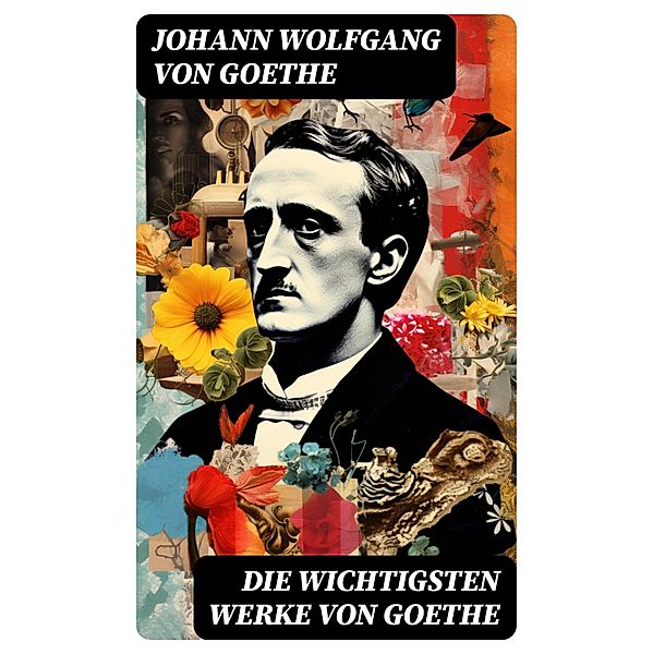 Die wichtigsten Werke von Goethe, Johann Wolfgang von Goethe