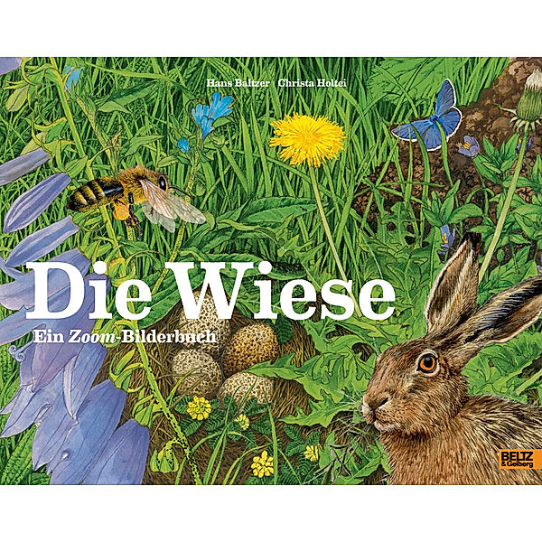 Die Wiese, Hans Baltzer, Christa Holtei