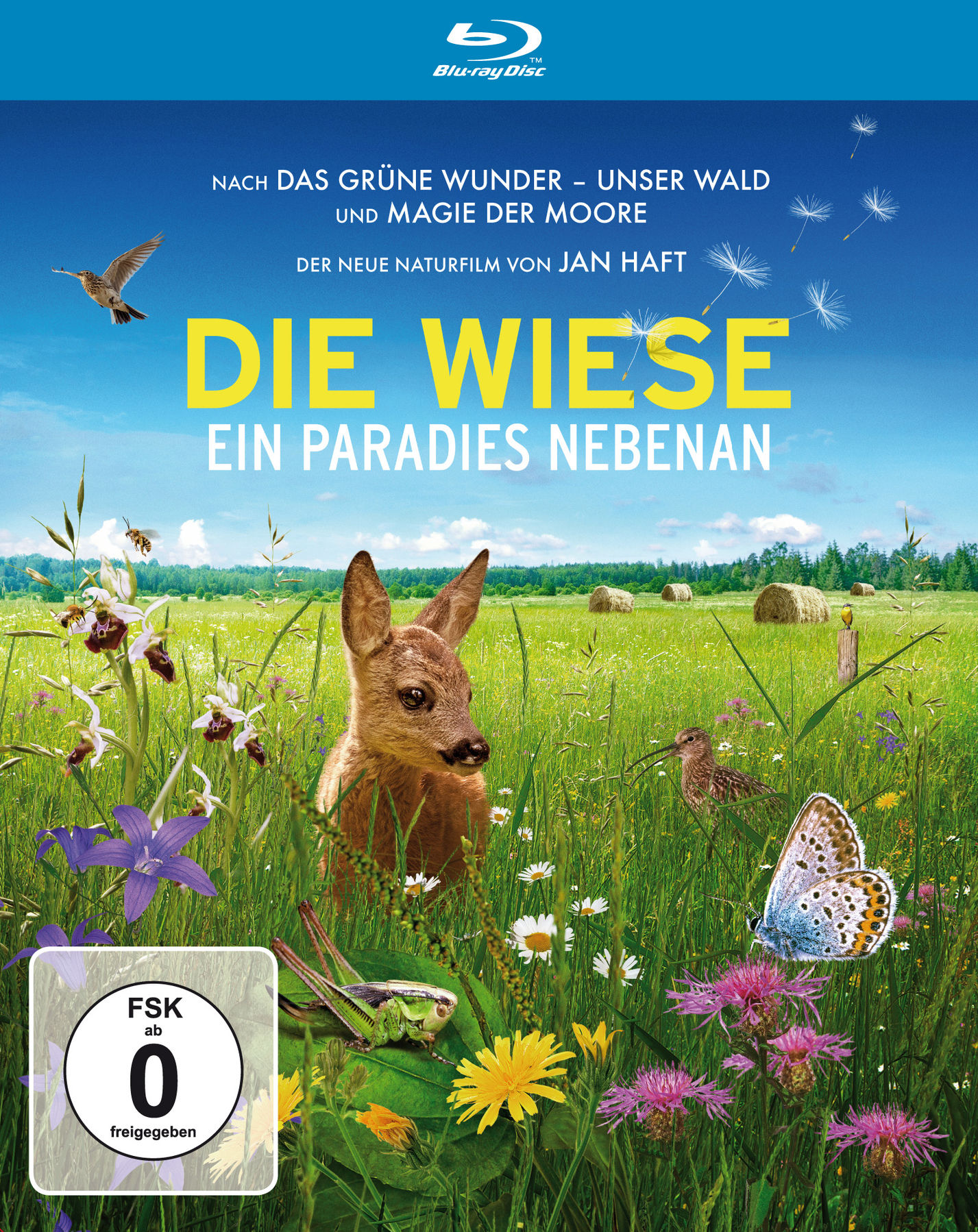 Image of Die Wiese - Ein Paradies nebenan