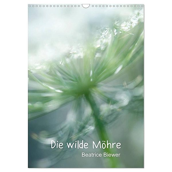 Die wilde Möhre (Wandkalender 2024 DIN A3 hoch), CALVENDO Monatskalender, Beatrice Biewer