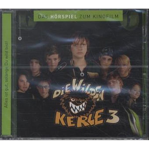 Die Wilden Kerle.Tl.3,1 Audio-CD, Diverse Interpreten