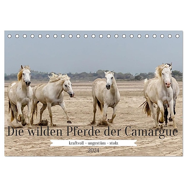 Die wilden Pferde der Camargue (Tischkalender 2024 DIN A5 quer), CALVENDO Monatskalender, Brigitte Dürr