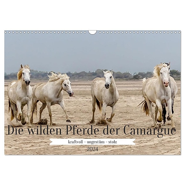 Die wilden Pferde der Camargue (Wandkalender 2024 DIN A3 quer), CALVENDO Monatskalender, Brigitte Dürr