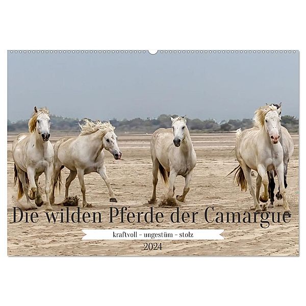 Die wilden Pferde der Camargue (Wandkalender 2024 DIN A2 quer), CALVENDO Monatskalender, Brigitte Dürr