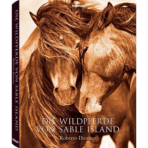 Die Wildpferde von Sable Island, Roberto Dutesco