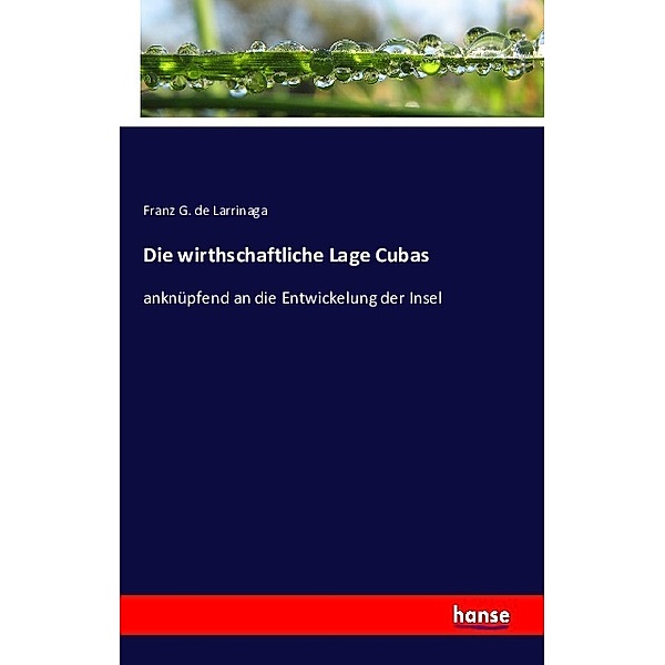 Die wirthschaftliche Lage Cubas, Franz G. de Larrinaga
