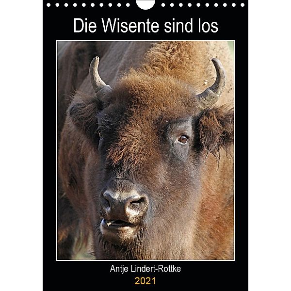 Die Wisente sind los (Wandkalender 2021 DIN A4 hoch), Antje Lindert-Rottke