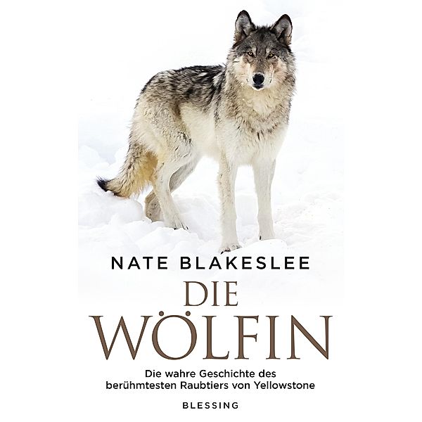 Die Wölfin, Nate Blakeslee