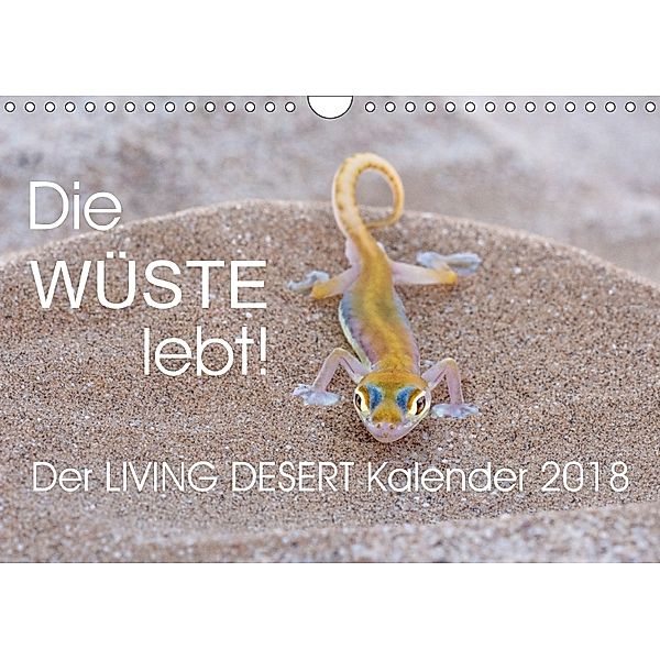 Die Wüste lebt! - Der LIVING DESERT Kalender 2018 (Wandkalender 2018 DIN A4 quer), Irma van der Wiel