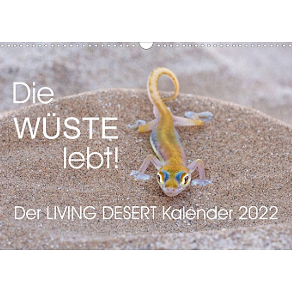 Die Wüste lebt! - Der LIVING DESERT Kalender 2022 (Wandkalender 2022 DIN A3 quer), Irma van der Wiel - www.kalender-atelier.de