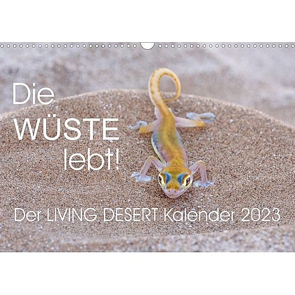 Die Wüste lebt! - Der LIVING DESERT Kalender 2023 (Wandkalender 2023 DIN A3 quer), Irma van der Wiel - www.kalender-atelier.de