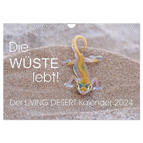 Die Wüste lebt! - Der LIVING DESERT Kalender 2024 (Wandkalender 2024 DIN A4 quer), CALVENDO Monatskalender, Irma van der Wiel - www.kalender-atelier.de