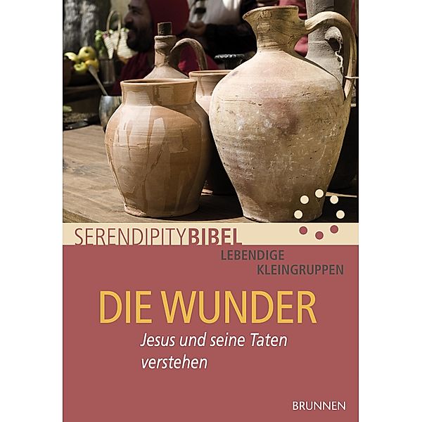 Die Wunder, Serendipity bibel