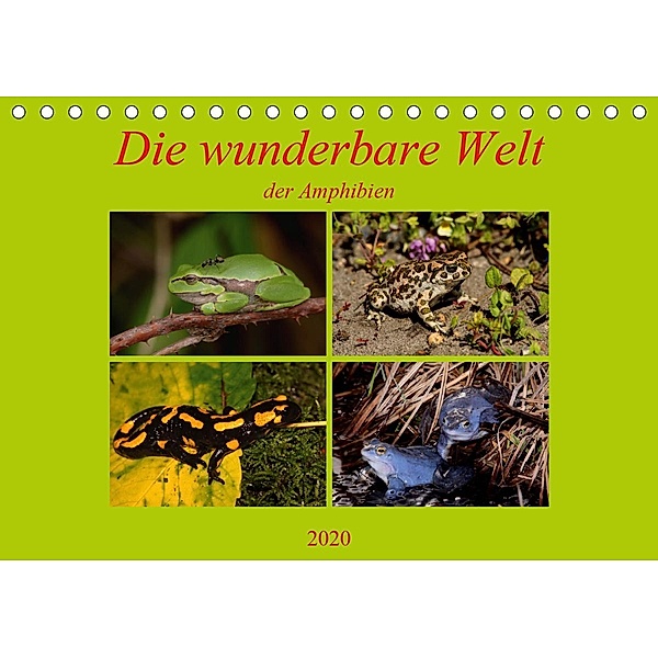 Die wunderbare Welt der Amphibien (Tischkalender 2020 DIN A5 quer), Winfried Erlwein