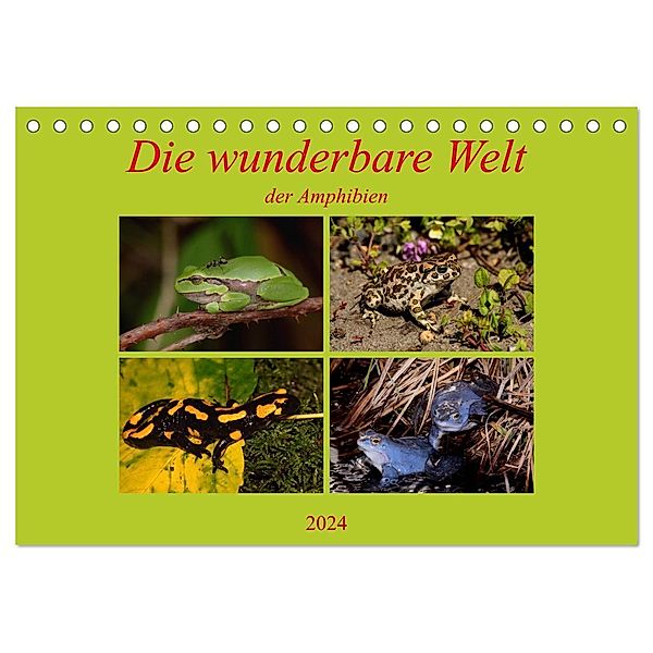 Die wunderbare Welt der Amphibien (Tischkalender 2024 DIN A5 quer), CALVENDO Monatskalender, Winfried Erlwein