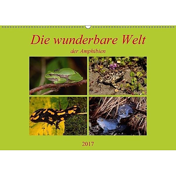 Die wunderbare Welt der Amphibien (Wandkalender 2017 DIN A2 quer), Winfried Erlwein