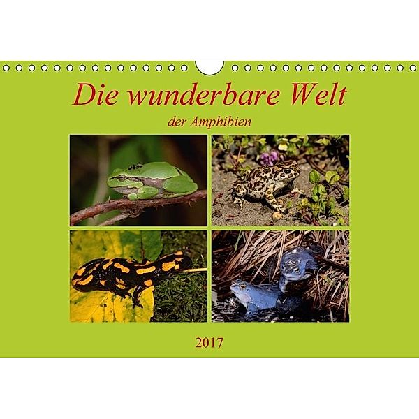 Die wunderbare Welt der Amphibien (Wandkalender 2017 DIN A4 quer), Winfried Erlwein