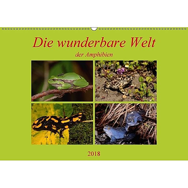 Die wunderbare Welt der Amphibien (Wandkalender 2018 DIN A2 quer), Winfried Erlwein