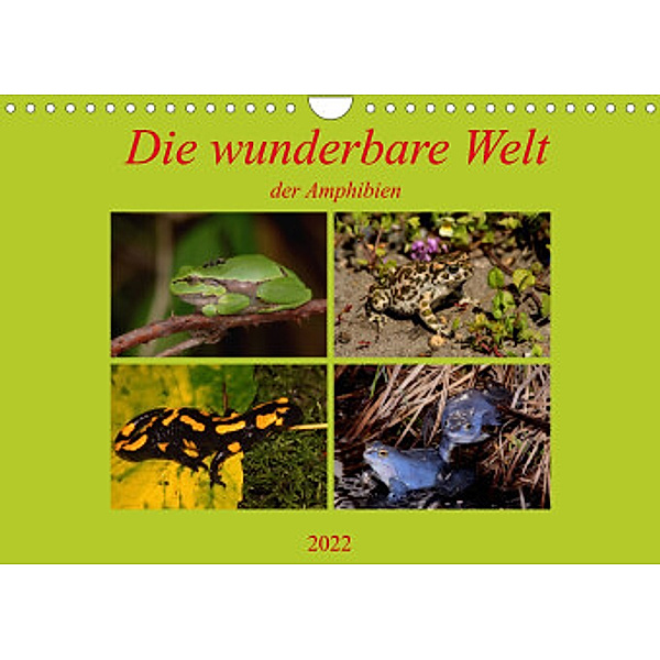 Die wunderbare Welt der Amphibien (Wandkalender 2022 DIN A4 quer), Winfried Erlwein