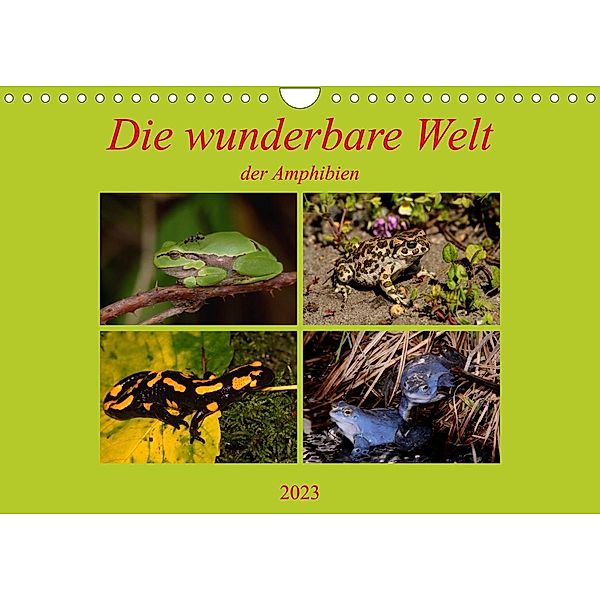 Die wunderbare Welt der Amphibien (Wandkalender 2023 DIN A4 quer), Winfried Erlwein