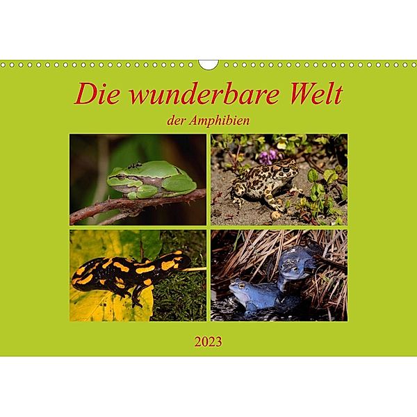 Die wunderbare Welt der Amphibien (Wandkalender 2023 DIN A3 quer), Winfried Erlwein