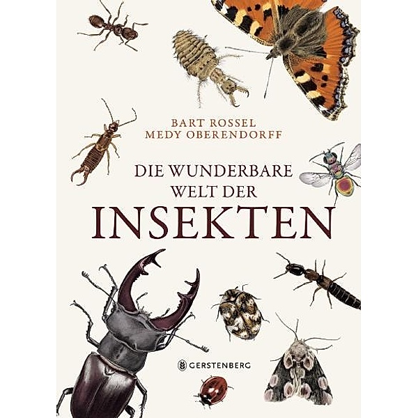 Die wunderbare Welt der Insekten, Bart Rossel