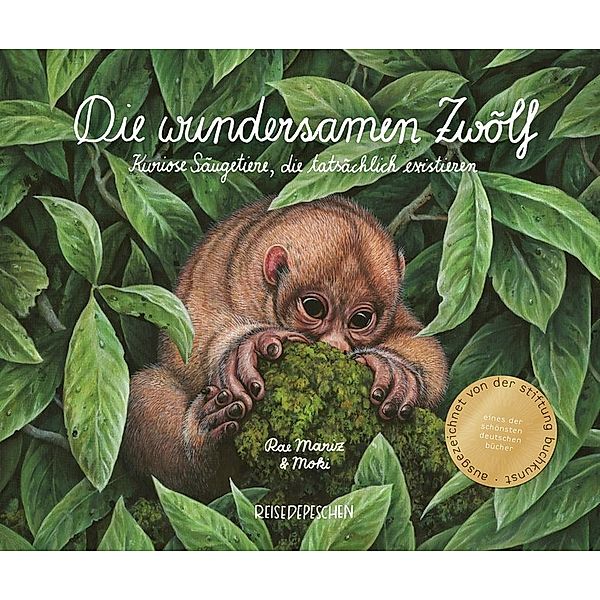 Die wundersamen Zwölf, Rae Mariz