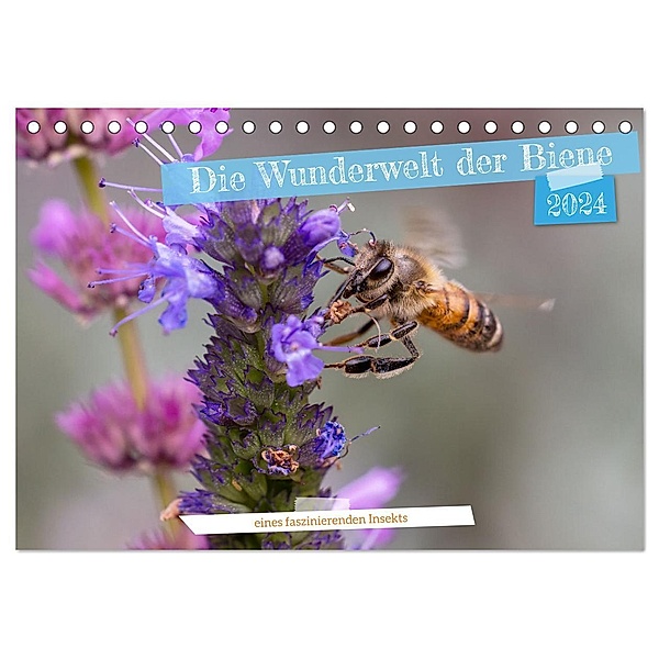 Die Wunderwelt der Biene (Tischkalender 2024 DIN A5 quer), CALVENDO Monatskalender, Calvendo, Christian Müller
