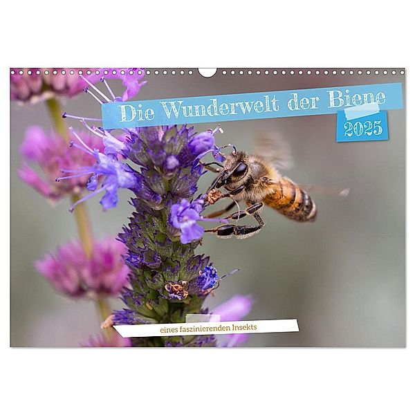 Die Wunderwelt der Biene (Wandkalender 2025 DIN A3 quer), CALVENDO Monatskalender, Calvendo, Christian Müller