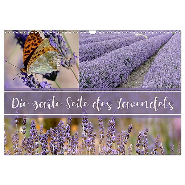 Die zarte Seite des Lavendels (Wandkalender 2024 DIN A3 quer), CALVENDO Monatskalender, Christine B-B Müller