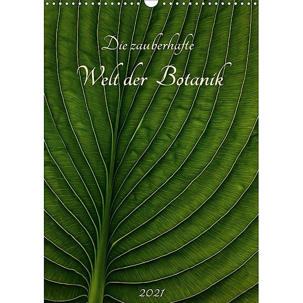 Die zauberhafte Welt der Botanik (Wandkalender 2021 DIN A3 hoch), Michael Pohl