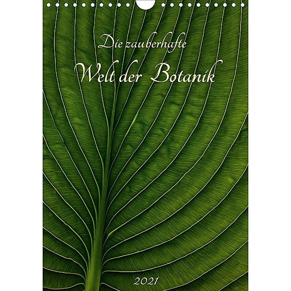 Die zauberhafte Welt der Botanik (Wandkalender 2021 DIN A4 hoch), Michael Pohl
