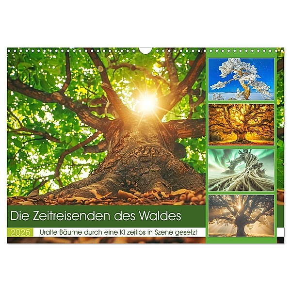 Die Zeitreisenden des Waldes (Wandkalender 2025 DIN A3 quer), CALVENDO Monatskalender, Calvendo, Steffen Gierok.Latniak
