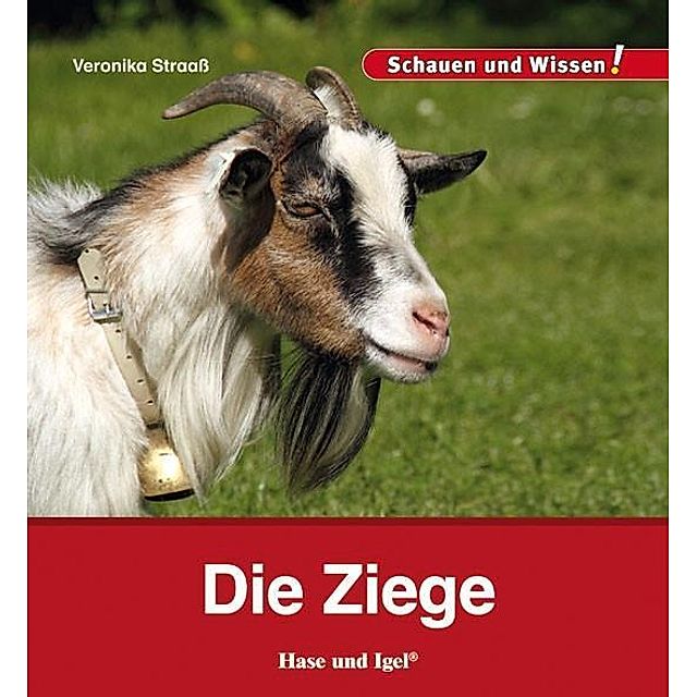 Die Ziege kaufen | tausendkind.de