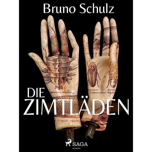 Die Zimtläden, Bruno Schulz
