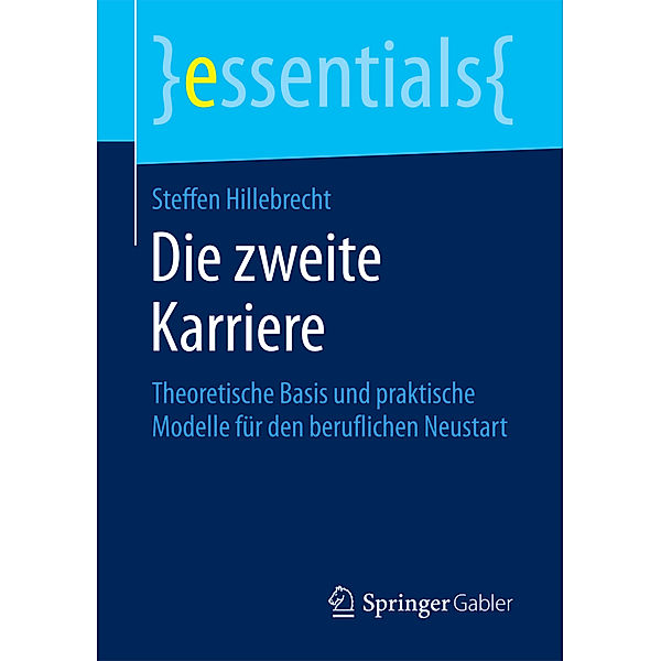 Die zweite Karriere, Steffen Hillebrecht