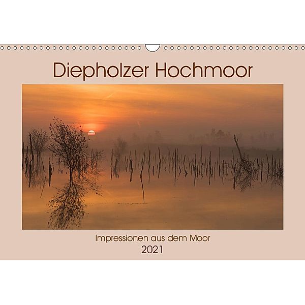 Diepholzer Hochmoor (Wandkalender 2021 DIN A3 quer), N N