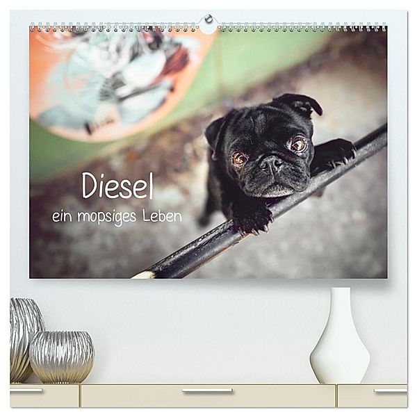 Diesel - ein mopsiges Leben (hochwertiger Premium Wandkalender 2024 DIN A2 quer), Kunstdruck in Hochglanz, Sabrina Wobith Photography - FotosVonMaja