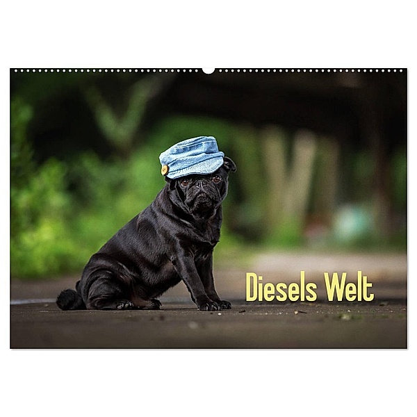 Diesels Welt (Wandkalender 2024 DIN A2 quer), CALVENDO Monatskalender, Sabrina Wobith Photography - FotosVonMaja