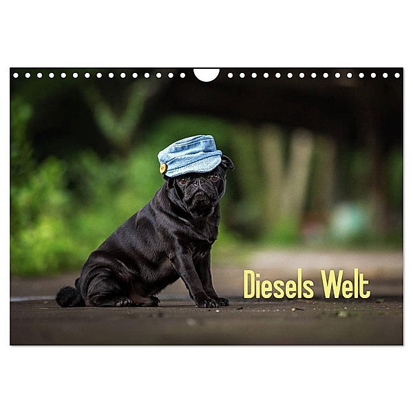 Diesels Welt (Wandkalender 2025 DIN A4 quer), CALVENDO Monatskalender, Calvendo, Sabrina Wobith Photography - FotosVonMaja