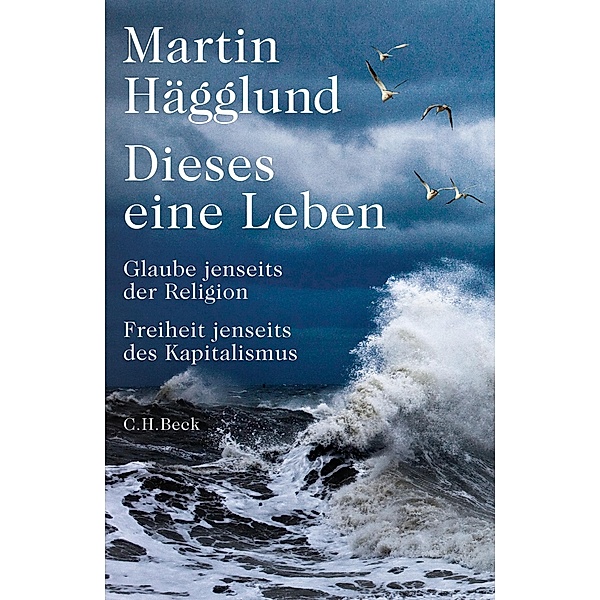 Dieses eine Leben, Martin Hägglund