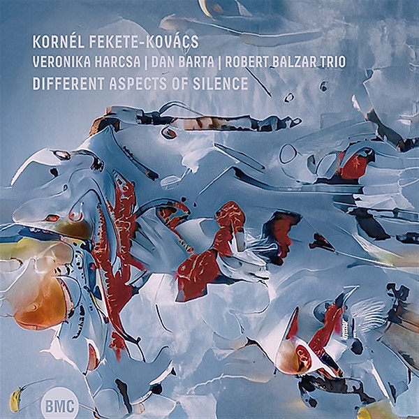Different Aspects Of Silence, Kornél Fekete-Kovács, Veronika Harcsa, Bárta