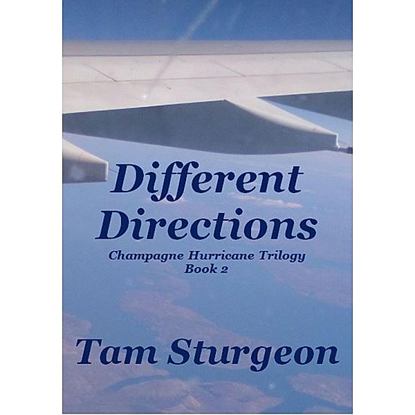 Different Directions - The Champagne Hurricane Trilogy - Book 2, Tam Sturgeon