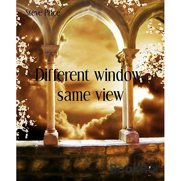 Different window, same view, Steve Price