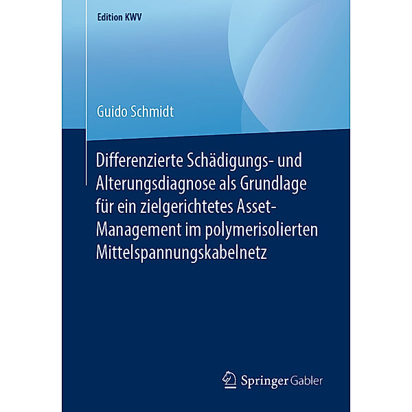 Differenzierte Schädigungs- und Alterungsdiagnose als Grundlage für ein zielgerichtetes Asset-Management im polymerisolierten Mittelspannungskabelnetz, Guido Schmidt